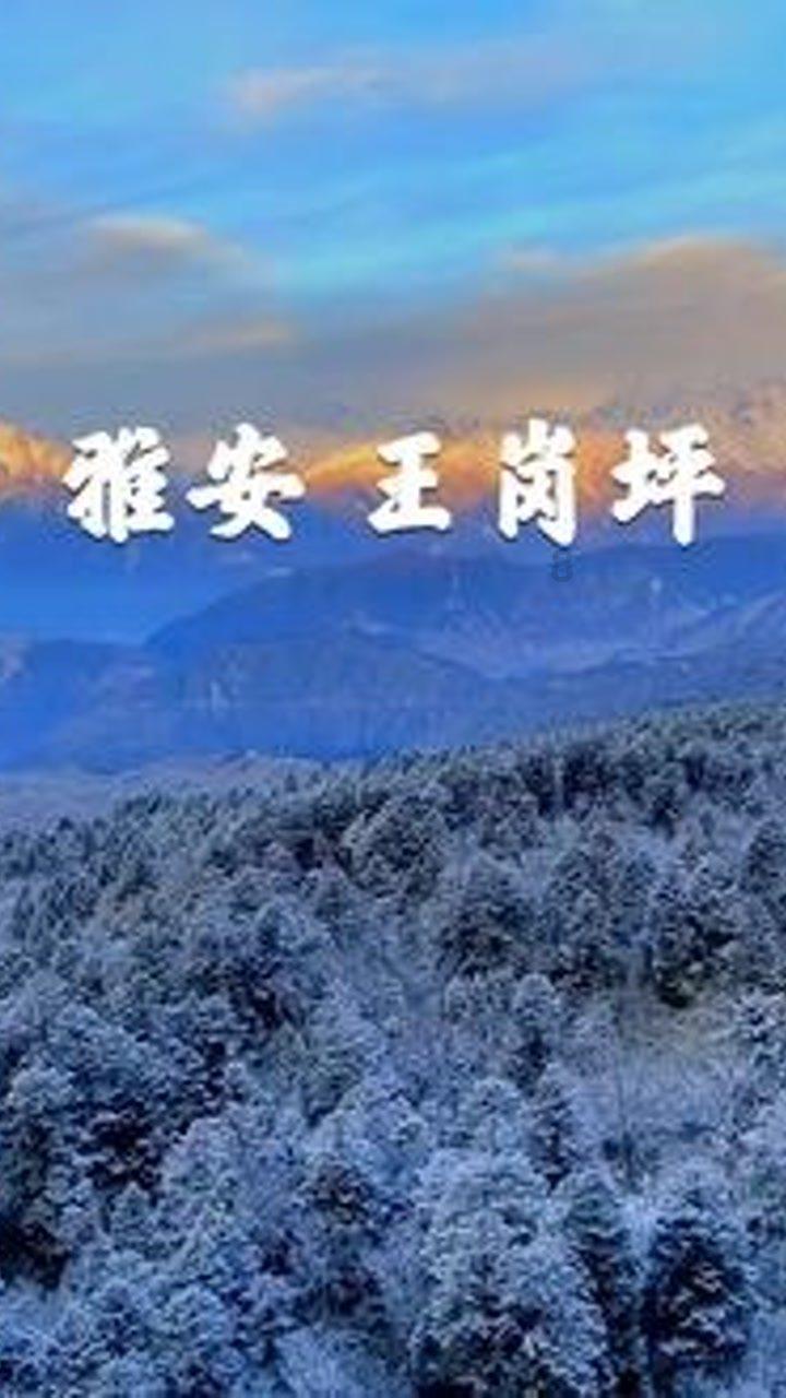 算24点游戏
