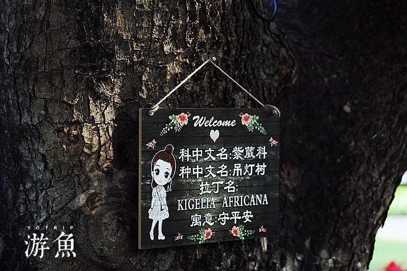 智能问答网页中国大叔探秘以色列,去当地人家做客,这才是真实以色列家庭生活,解答你的疑惑